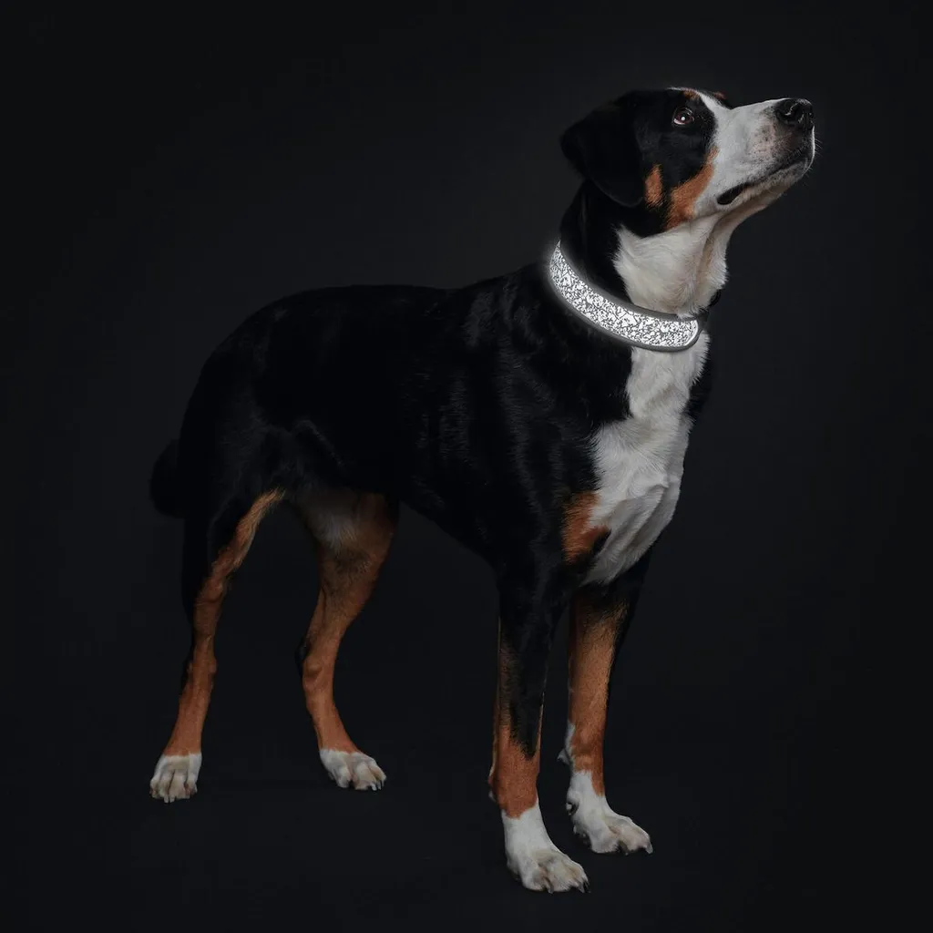 Collier de dressage rembourré pour grand chien - HUNTER Divo Reflect XL