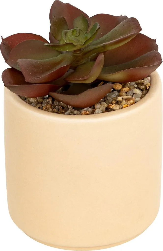 Succulenta artificiale in vaso NILS, 12 cm