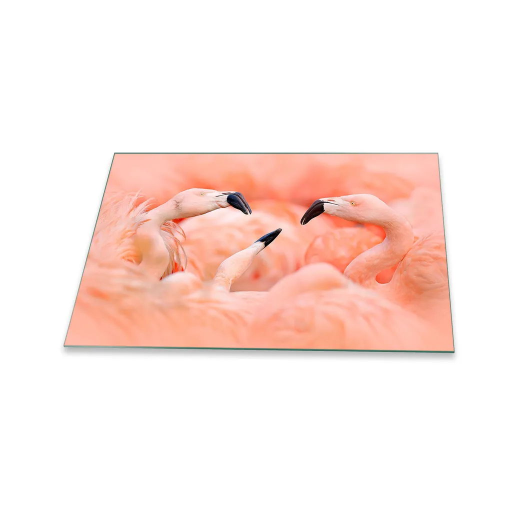 Piastra Copri Piano Cottura 80x52 Vetro Temperato Uccelli Arancio