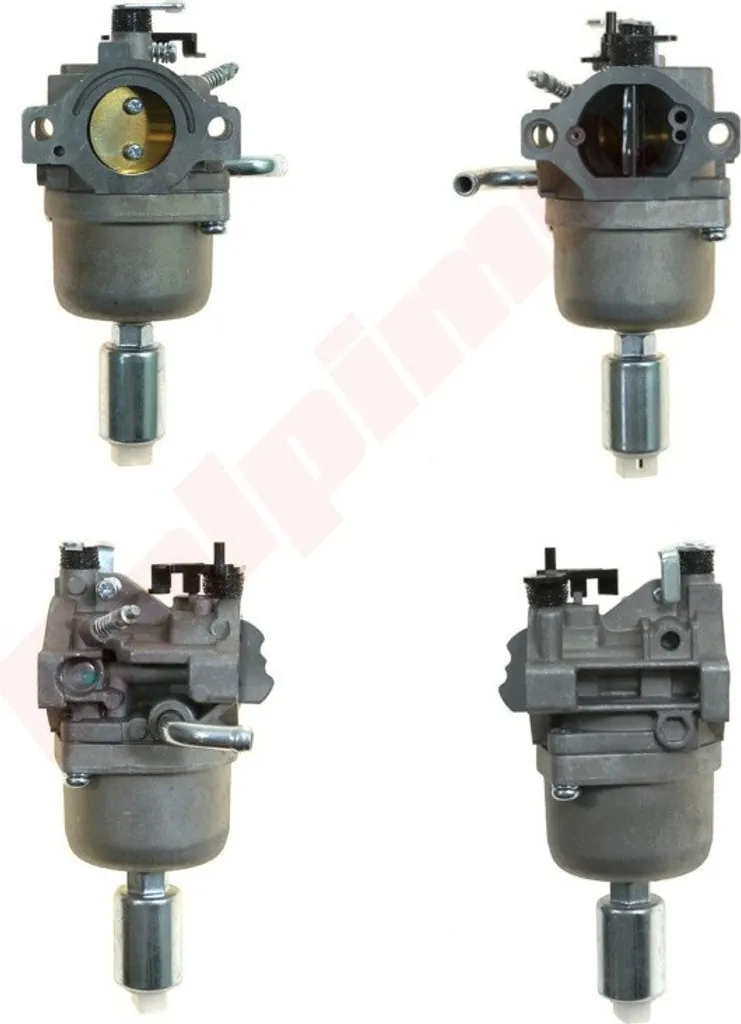 Carburateur Robuste pour Briggs & Stratton 699916 794294 Montage Facile