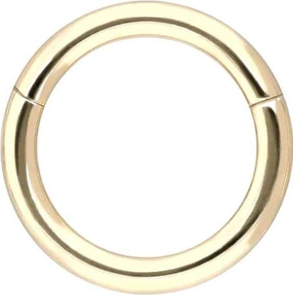 Ohrpiercing, Nasenpiercing, Septum Piercing 14/18 Karat Gold Segmentring Clicker 18 Karat | Gold Innendurchmesser: 6mm | Stabstärke: 0,8mm