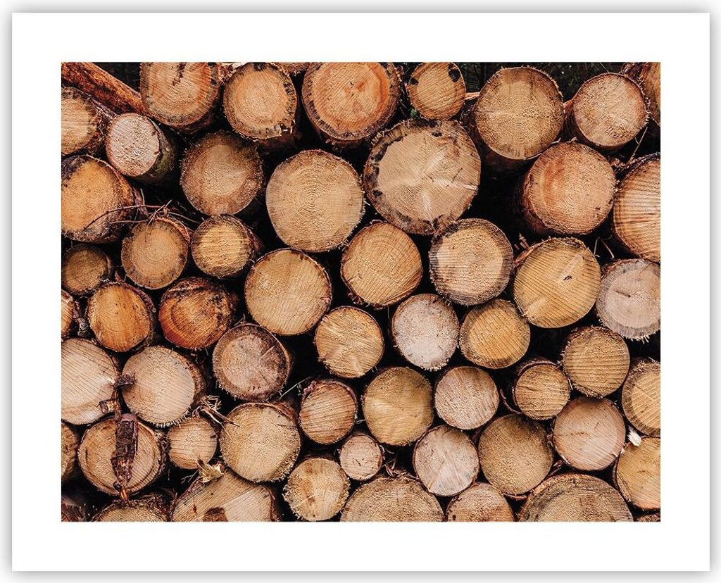 Poster - Poster ohne Rahmen - Holz Baumstämme Stämme - 50x40 cm - Wand Bild - Wanddeko - Wandbilder - Kunstposter - Wandposter - Bilder - Kunstdr...