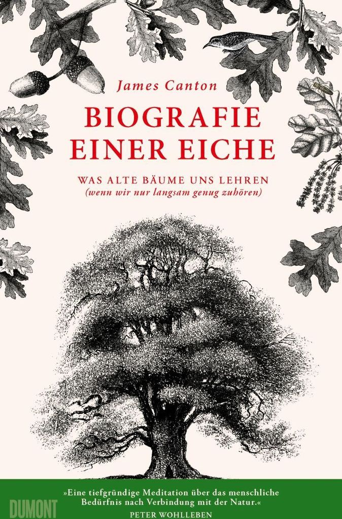 Biografie einer Eiche