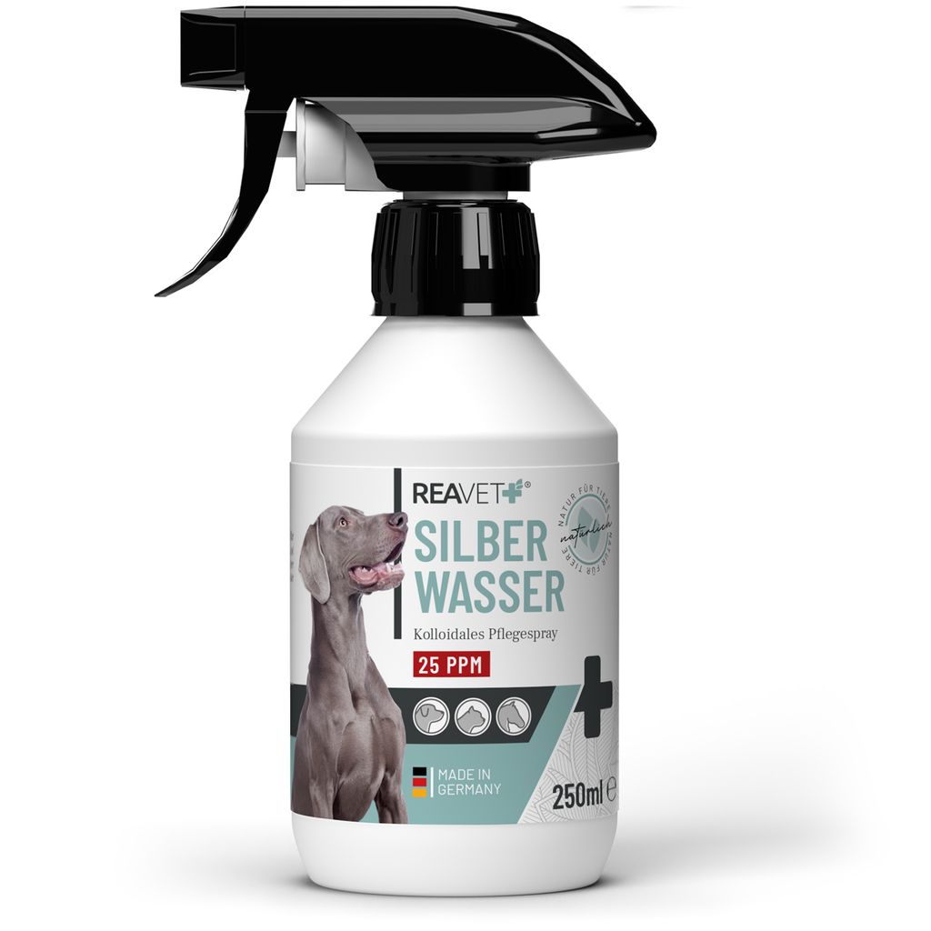 REAVET Silberspray für Hunde 250ml – Wundspray für Tiere, Silberspray Hund, Katze, Pferd, Sprühpflaster, Spray Wundversorgung & Desinfektion