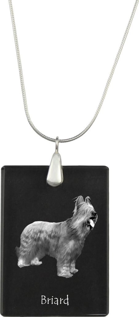 Briard, Berger de Brie - Kristallanhänger mit Hund, Silberhalskette mit Foto, personalisierter Anhänger der Marke Art-Dog