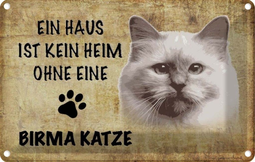 vianmo Blechschild 12x18 cm Birma Katze ohne kein Heim Tier Haustier