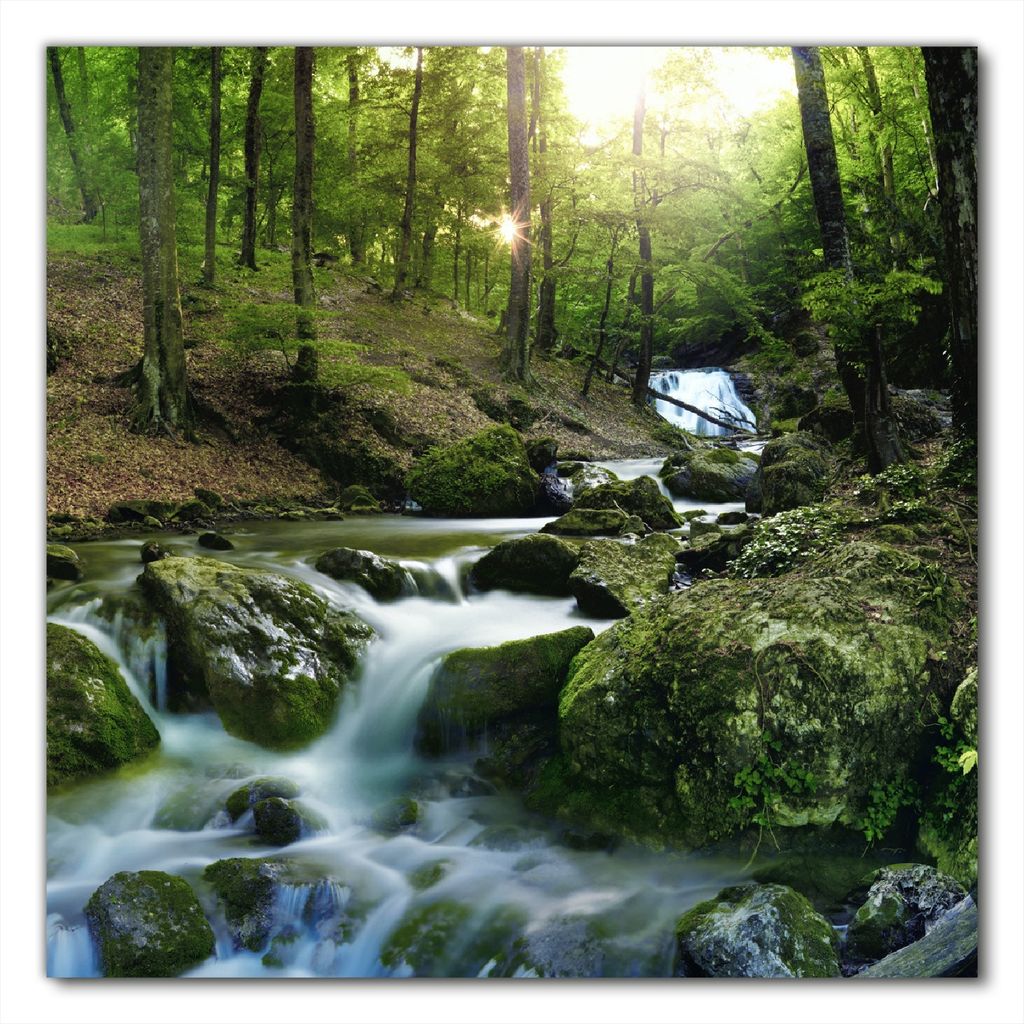 Wallario selbstklebende Möbelfolie/ Tischdecke für Innen und Außen, Größe: 50 x 50 cm - Fließender Bach im Wald bei Sonnenuntergang