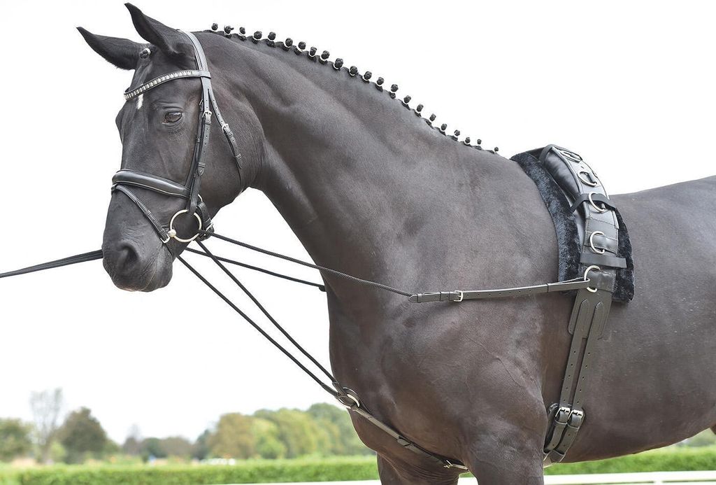 Busse Dreieckszügel Basic-Kordel, schwarz, Wiener Zügel , Größe Pferd:Pony
