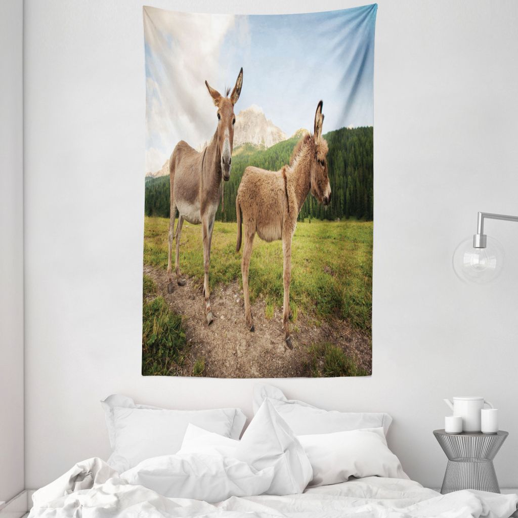 ABAKUHAUS Esel Wandteppich und Tagesdecke, Dolomiten Italien Land aus Weiches Mikrofaser Stoff Waschbar ohne Verblassen Digitaldruck, 140 x 230 cm,...