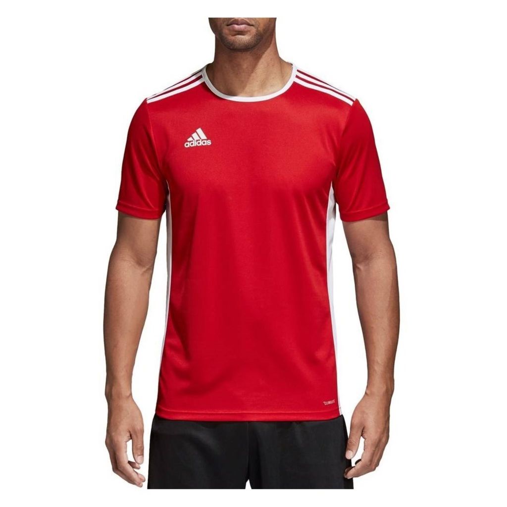 Adidas Koszulki Entrada 18, CF1038, Größe: 176 Zdjęcie produktu 3