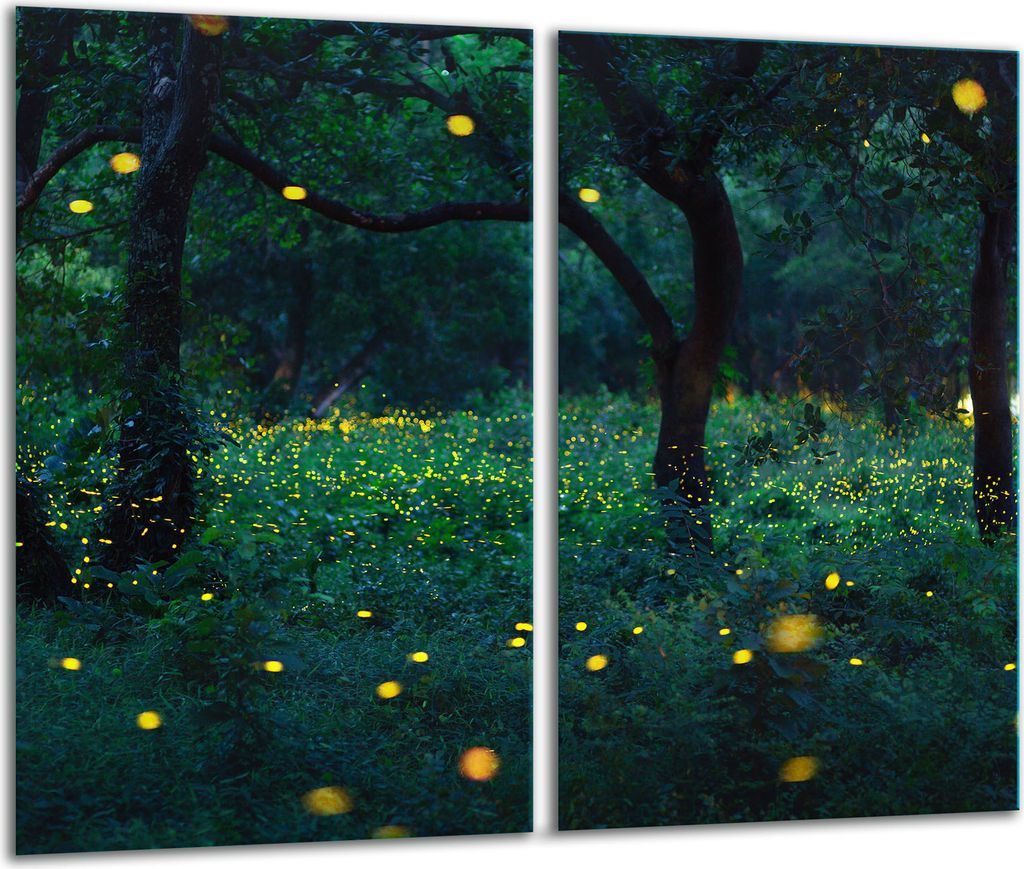 Herdabdeckplatten 2 teilig 30x52 Ceranfeld Abdeckung Glas Ballon