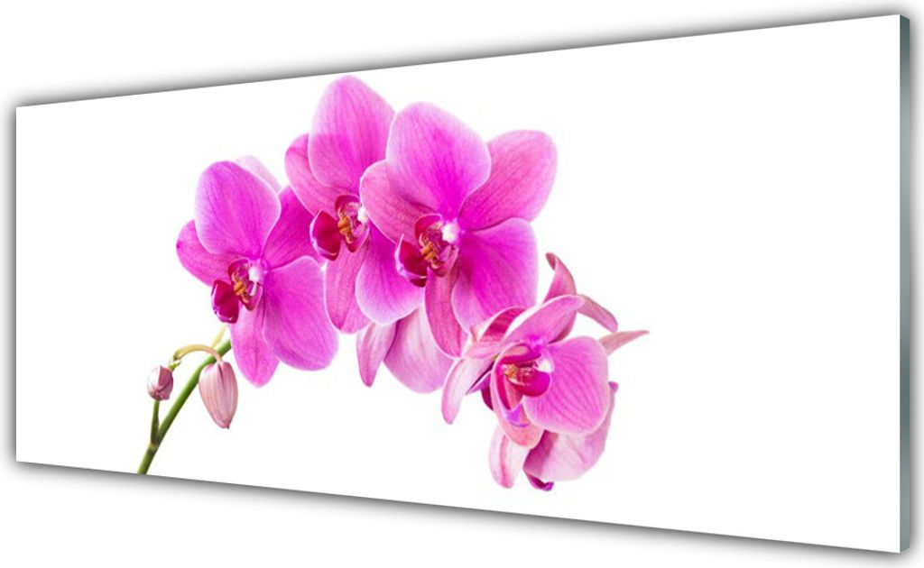 Acrylglasbilder 125x50 Wandbild Druck Blumen Pflanzen