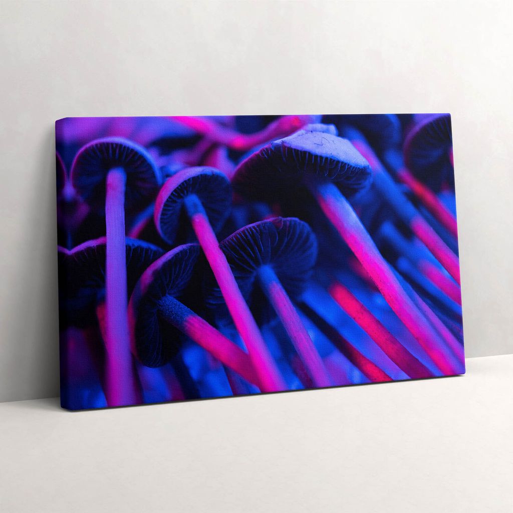 Magische bunte Pilze – Leinwandbild Wandbild – 30x20 cm – Leinwandbilder – Wandbilder – Schlafzimmer – Flur