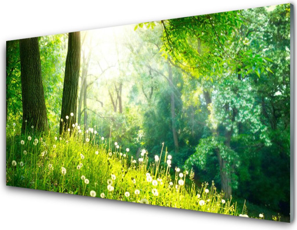 Küchenrückwand aus Glas 100x50cm Spritzschutz Wiese Natur