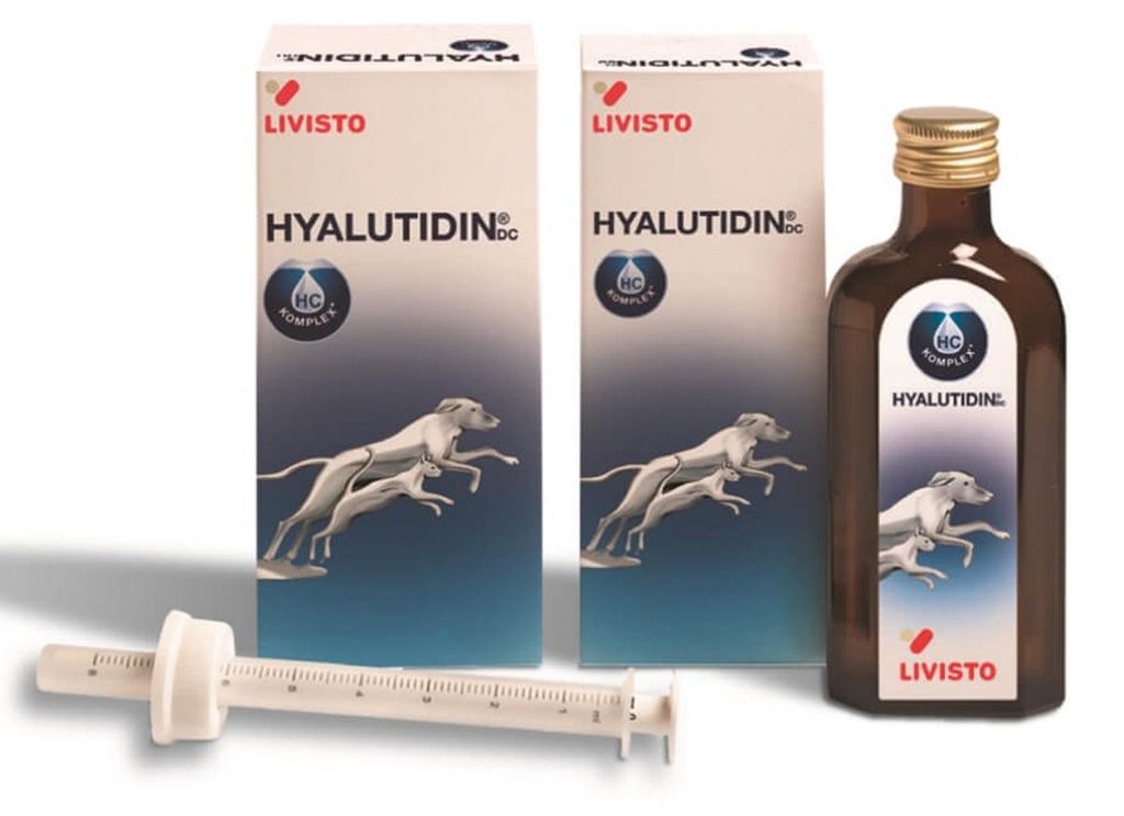 Livisto Hyalutidin DC 2x125 ml | Beweglichkeit bei Hunden & Produktbild 