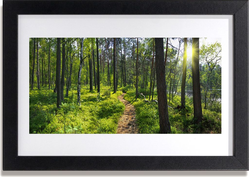Bild 30x20 MDF-Rahmen Wandkunst Waldweg Lane Natur