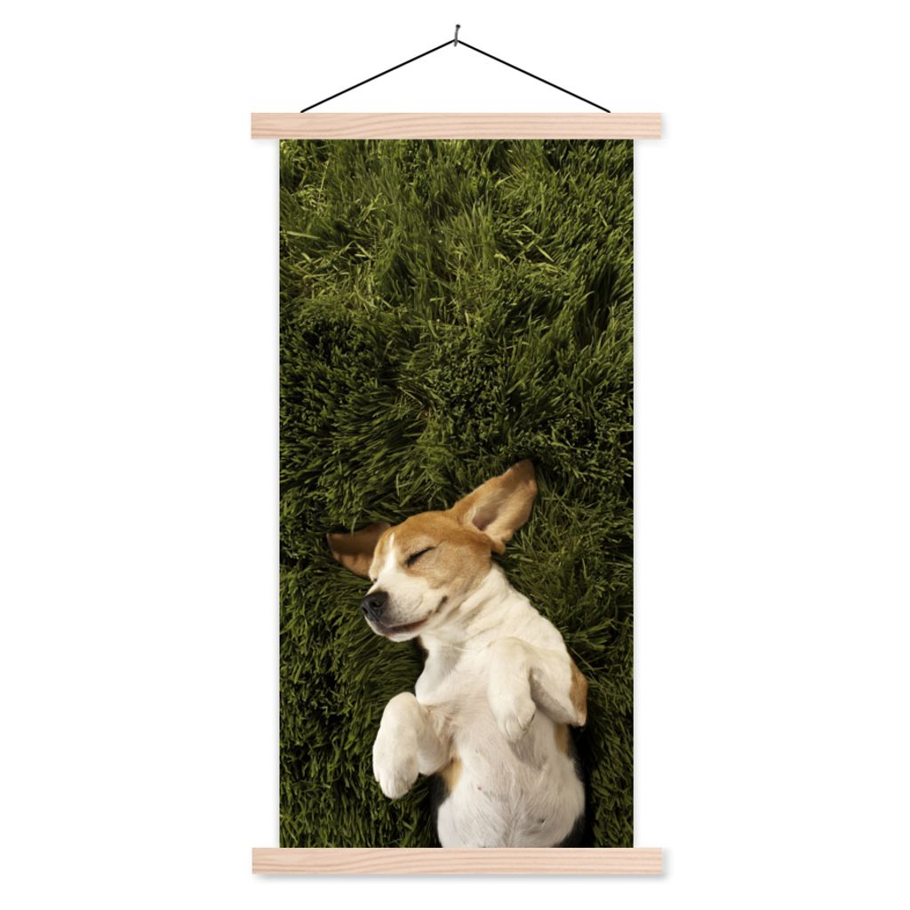 MuchoWow Textilposter Im Gras schlafender Hund 40x80 cm mit holzfarbenen Rahmen - Wohnzimmer