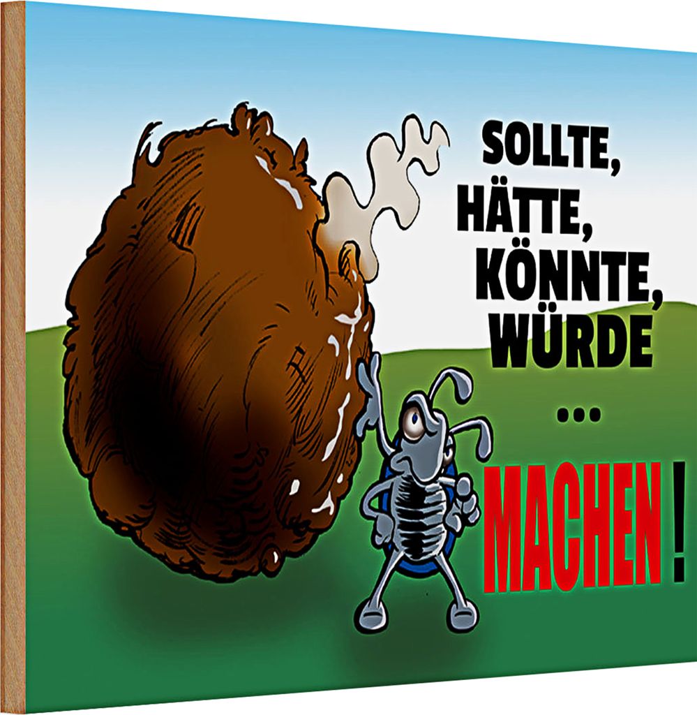 Holzschild Spruch 30x20cm Sollte hätte könnte Machen