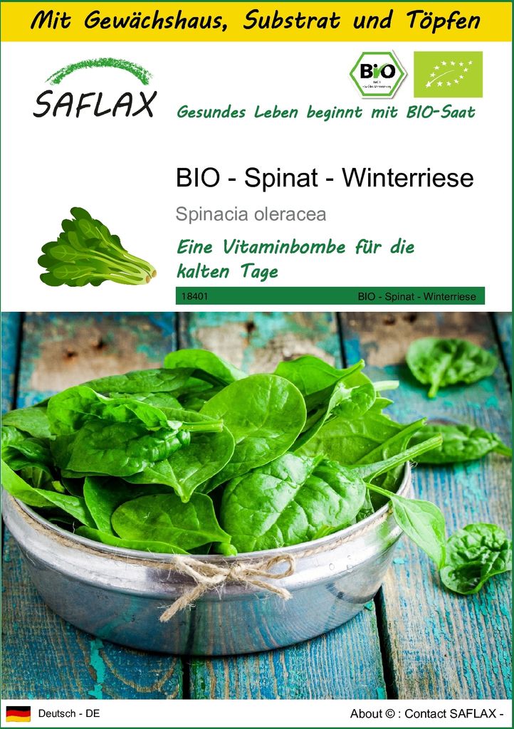 SAFLAX Anzucht Set - BIO - Spinat - Winterriese - Spinacia oleracea - 250 Samen - Mit Mini-Gewächshaus, Anzuchtsubstrat und 2 Töpfen