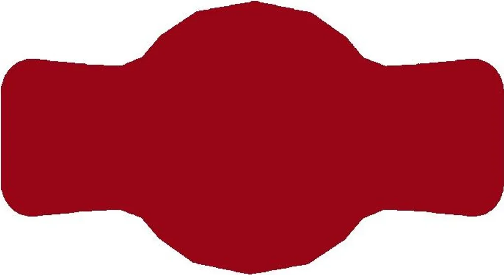 72 Etichette Professionali 70x40mm Rosso Opaco per Inventario e Casa