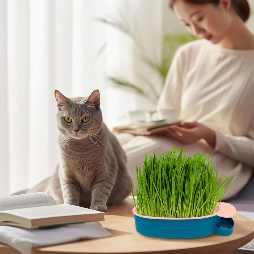 Plateau à algues herbe à chat et kit hydroculture pour semis - Vert