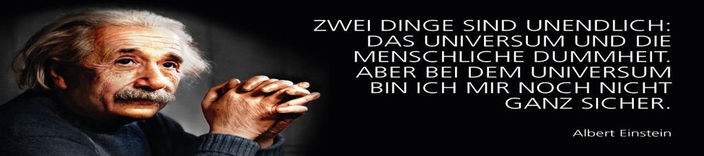 vianmo Holzschild 10x46 cm Einstein Zitat Zwei dinge sind unendlich