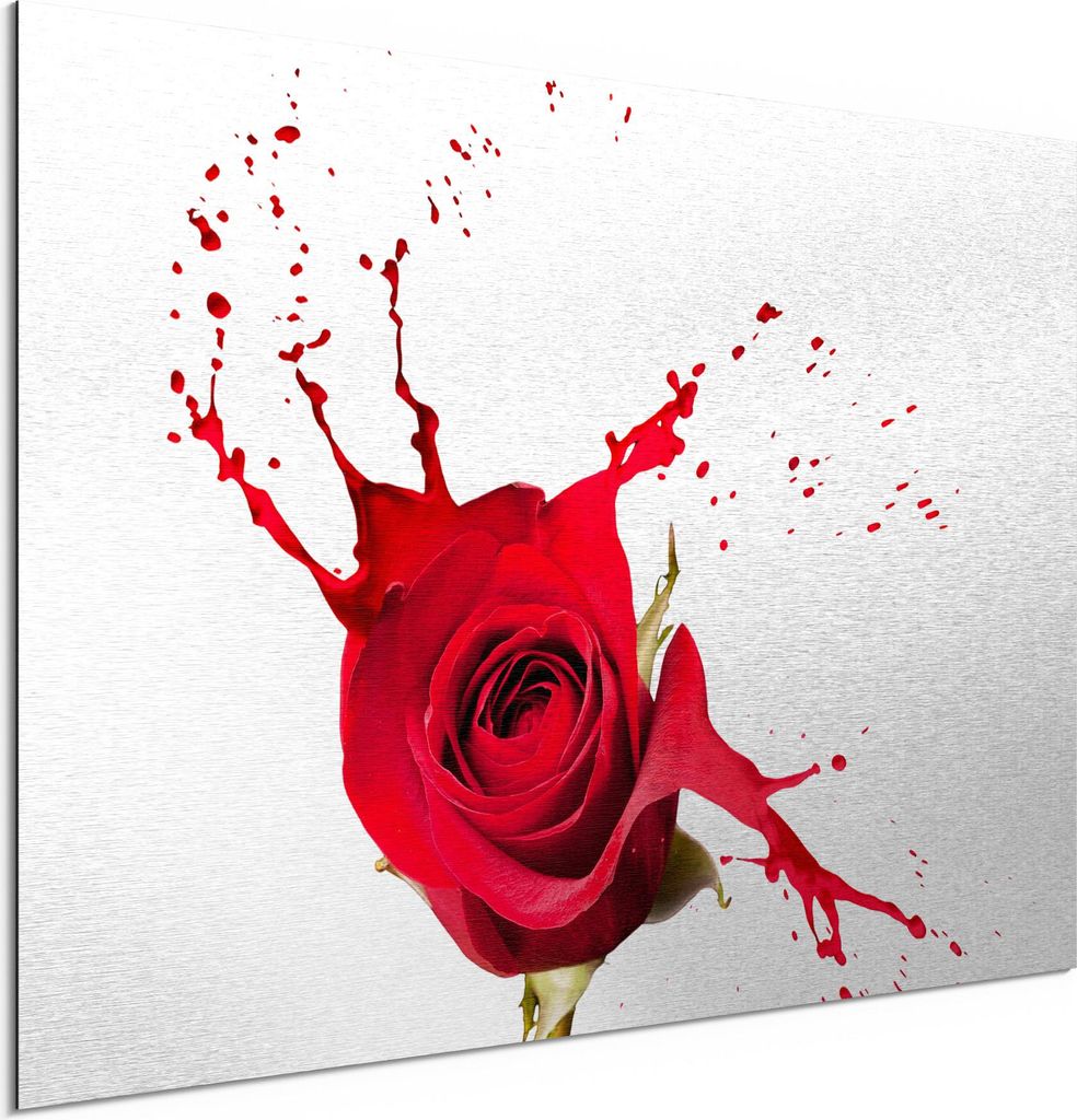 DEQORI Alu-Dibond Bild Silber 60x40 cm 'Zerfließende Rosenblüte' Wandbild Metall dünn