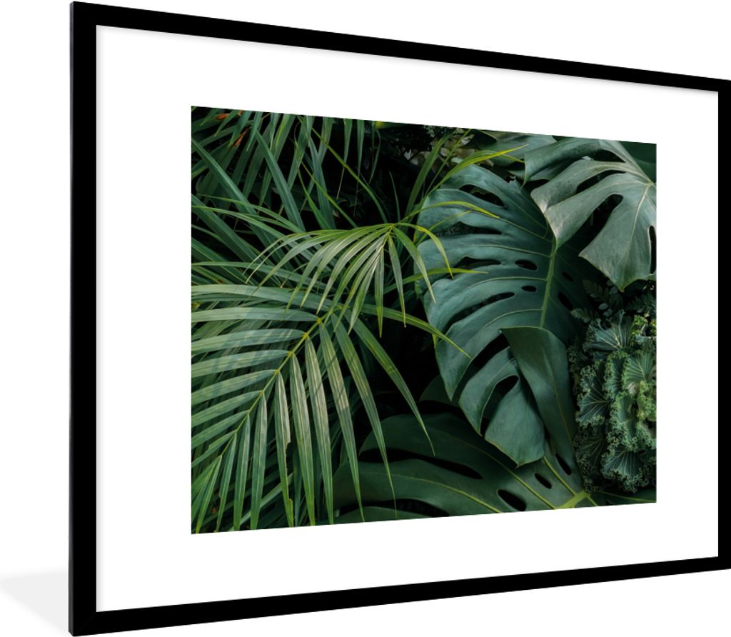 MuchoWow Gerahmtes Poster Pflanzen - Dschungel - Blätter - Tropisch 80x60 cm - Poster mit Schwarzem Bilderrahmen Wandposter Rahmen Foto Bilder -...