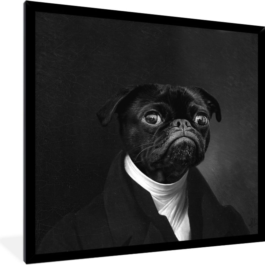 MuchoWow Gerahmtes Poster Alte Meister - Mops - Schwarz und Weiß 40x40 cm - Poster mit Schwarzem Bilderrahmen Wandposter Rahmen Foto Bilder - Mi...
