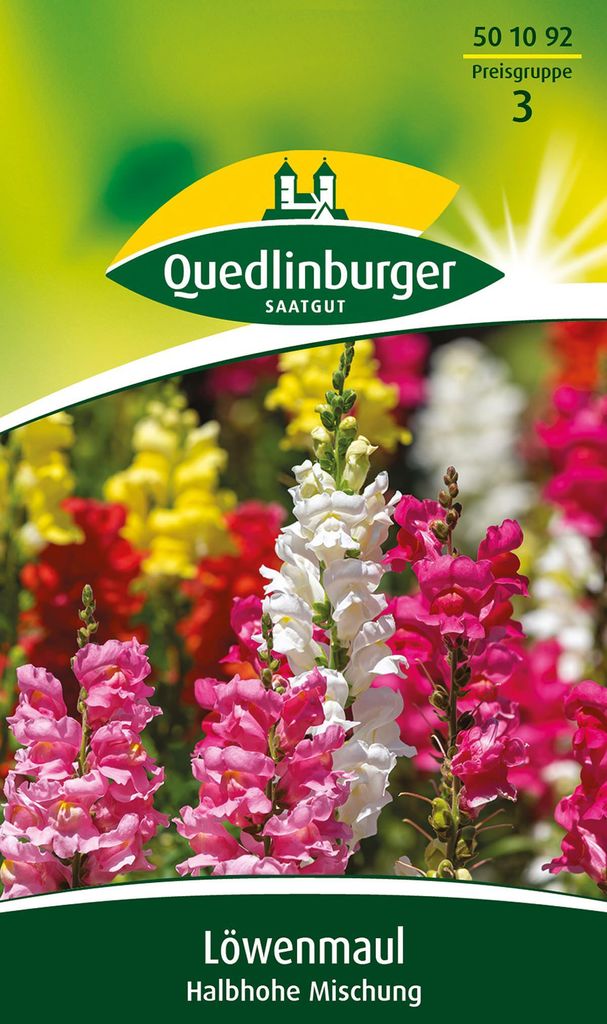 Quedlinburger Saatgut - Löwenmaul halbhohe Mischung - Samen Produktbild 