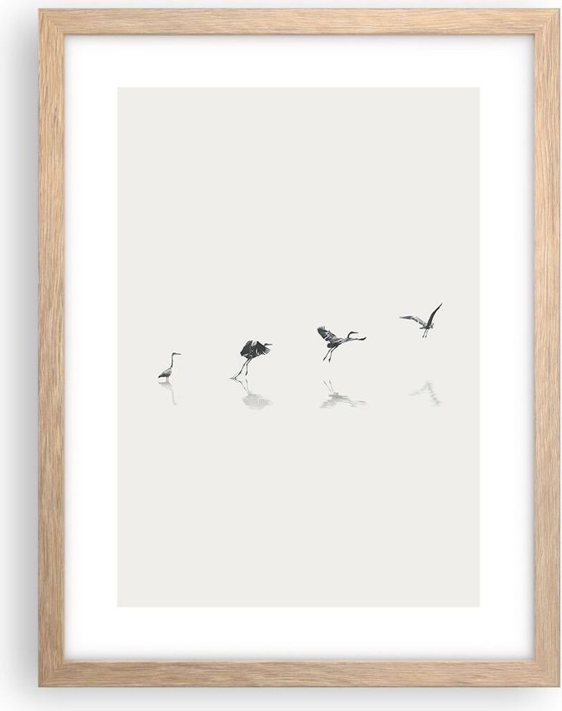 Gerahmtes Poster - Rahmen in heller Eiche - Flug Vogel Produktbild 