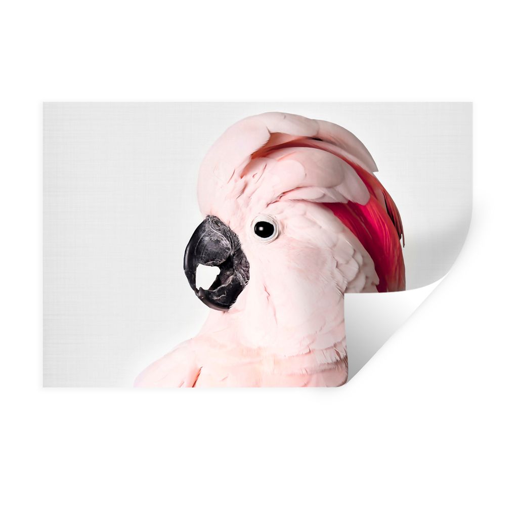 MuchoWow Wandtattoo Wandsticker Wandaufkleber Kakadu - Rosa - Tiere - Natur 90x60 cm Selbstklebend und Repositionierbar - Aufkleber