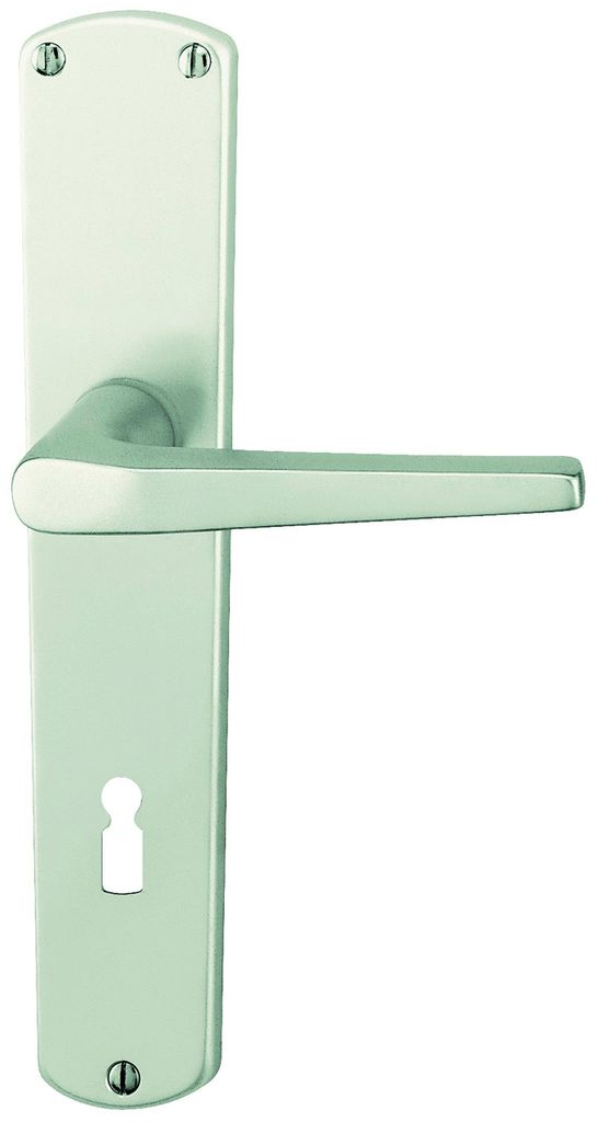 Alpertec aluminium Phil - LS Langschildgarnitur für Zimmertüren in eloxiert BB Drückergarnitur Türdrücker Türbeschläge, 72 mm, silber, 40401...