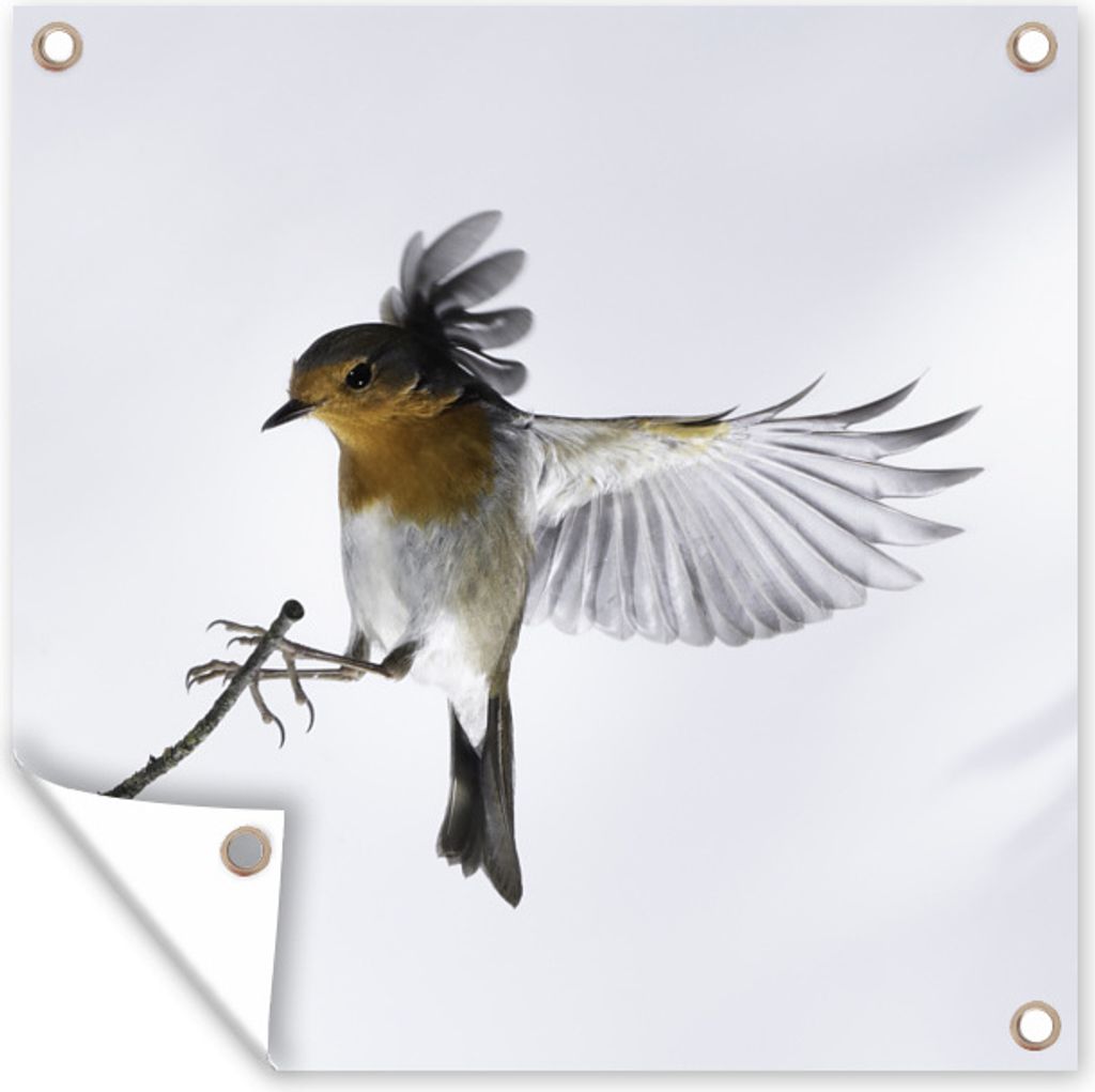 MuchoWow 50x50 cm Outdoor-Poster Gartendeko Sichtschutz Garten Poster für den Garten Nahaufnahme Vogel