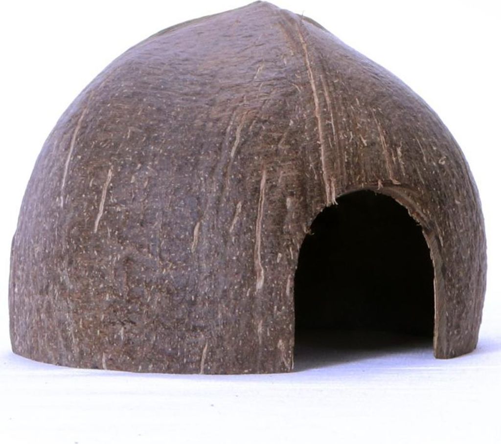 Terrario CocoCave L - cocco mezzo liscio Terrario Immagine del prodotto 