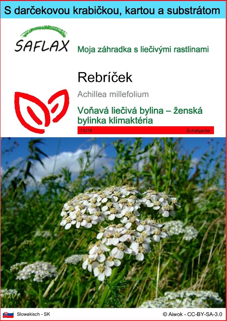 SAFLAX Darčeková sada - rebríček - Achillea millefolium - Obrázok produktu 