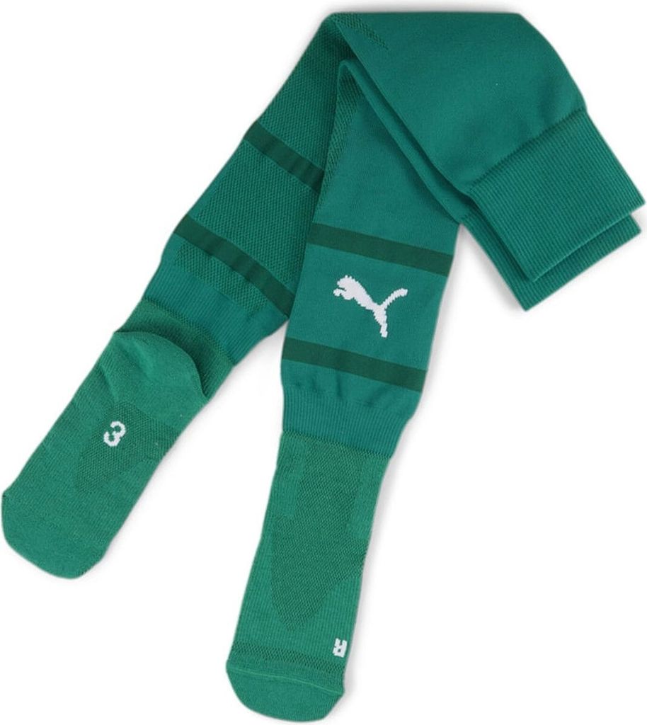 Puma Teamfinal Stutzenstrumpf - Grün