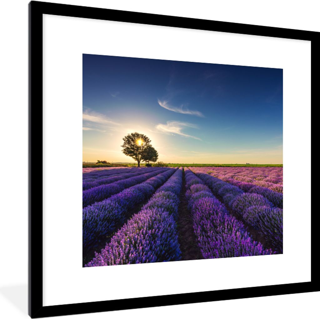 MuchoWow Gerahmtes Poster Lavendel - Sonne - Baum - Blumen - Lila 40x40 cm - Poster mit Schwarzem Bilderrahmen Wandposter Rahmen Foto Bilder - Po...