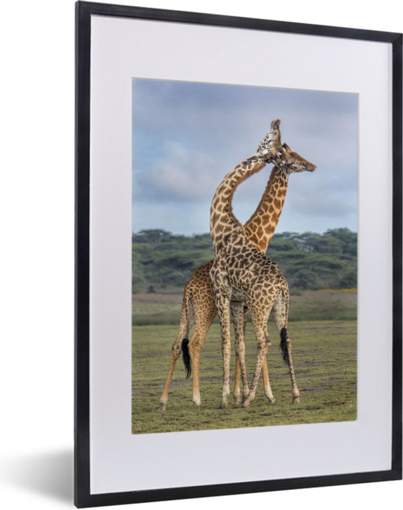 MuchoWow MuchoWow Gerahmtes Poster Zwei Giraffen unter einem bewölkten Himmel 30x40 cm - Poster mit zchwarzem Bilderrahmen - Wandposter Schlaf...
