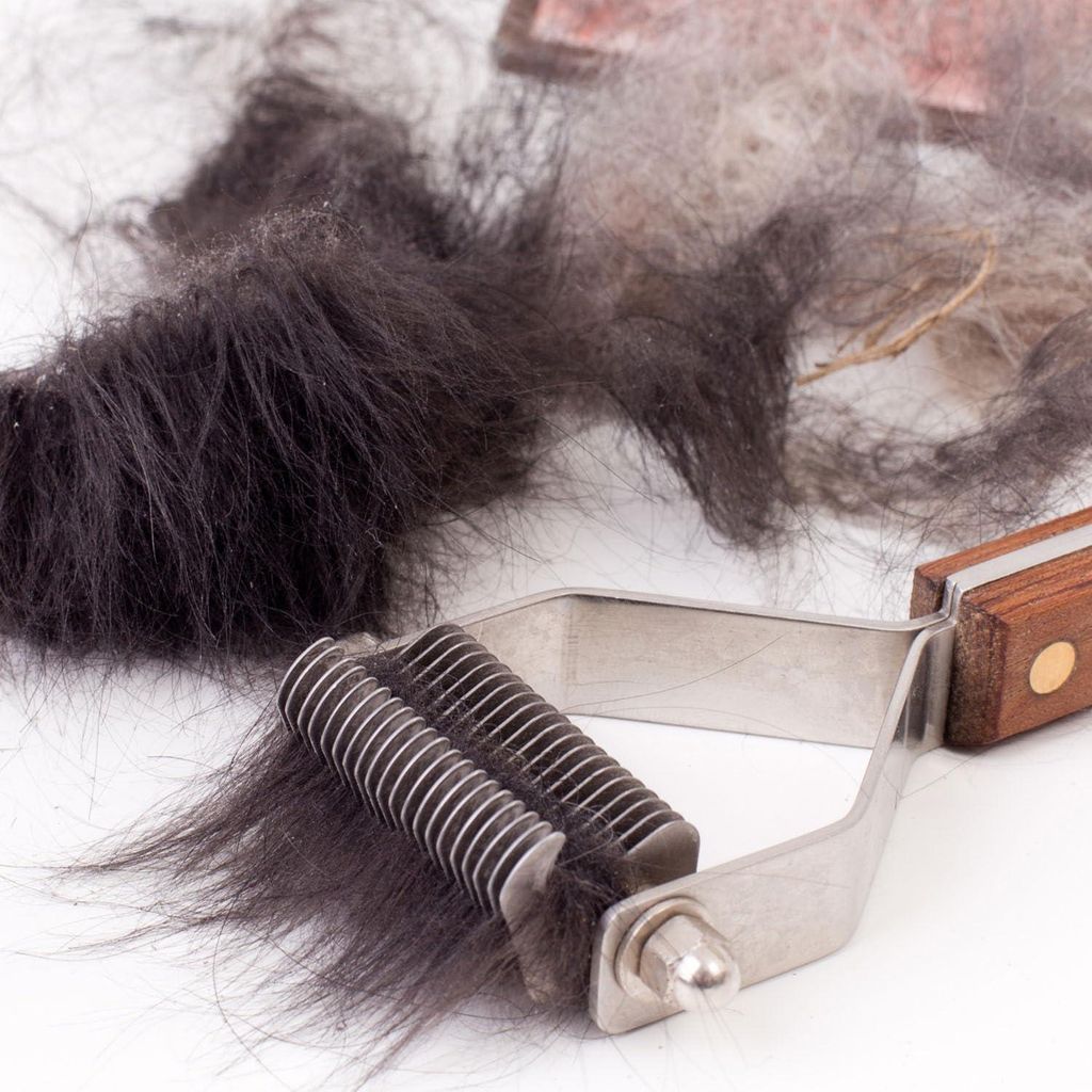 Premium Hundebürste - Katzenbürste für Hunde und Katzen - Unterwollbürste - Unterhaarbürste für langes Haar - Entfernt sanft tote Unterwolle ...