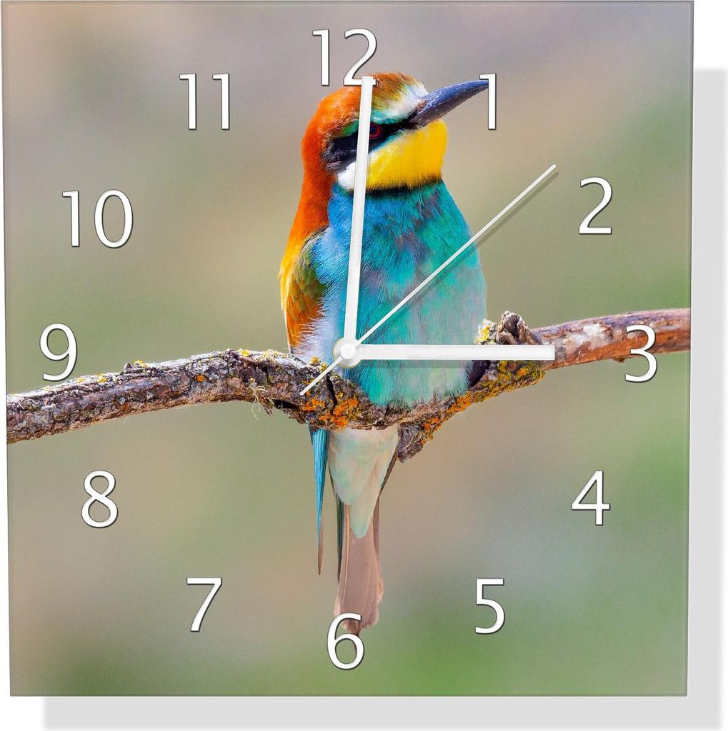 Wallario Design Wanduhr Vogel auf Ast aus Echtglas, Größe 30 x 30 cm