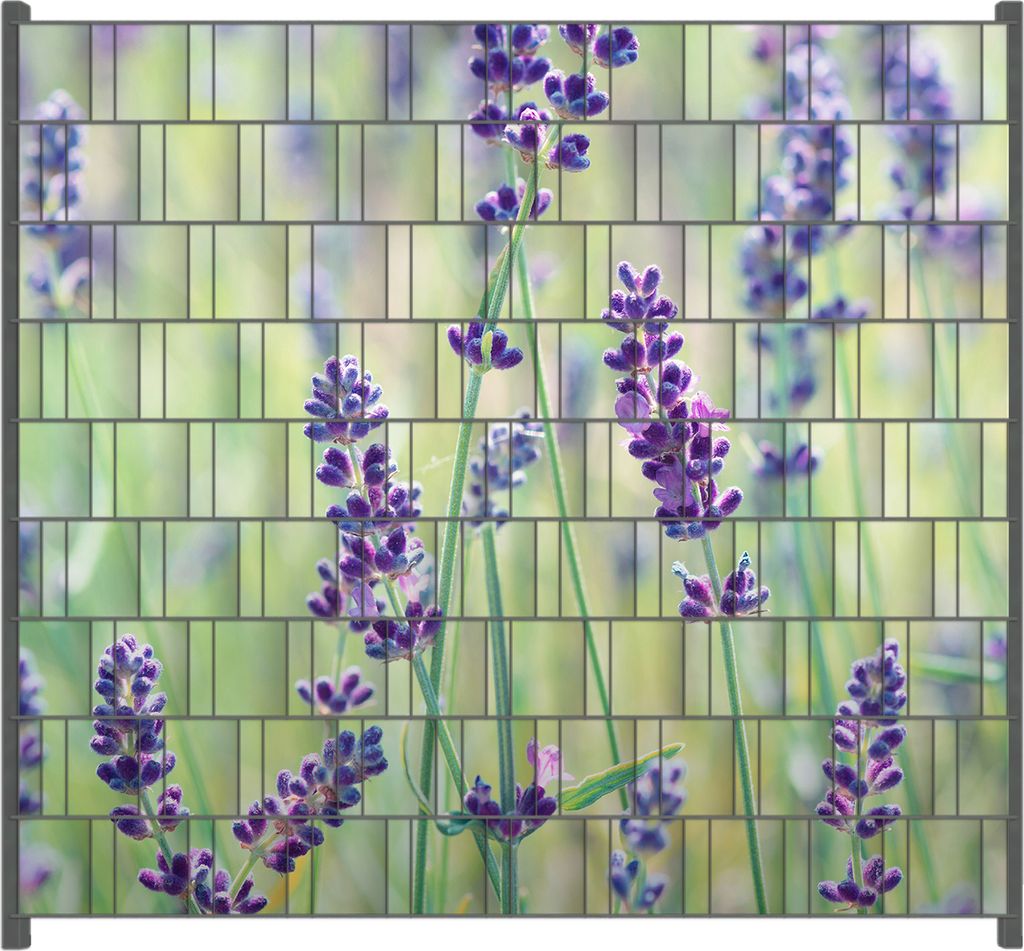 Wallario Zaunsichtschutz mit Motiv Lila Blumenfreude - Violette Pflanzen auf der Wiese für Ein- und Doppelstabmatten Zäune in der Größe 200 x 1...