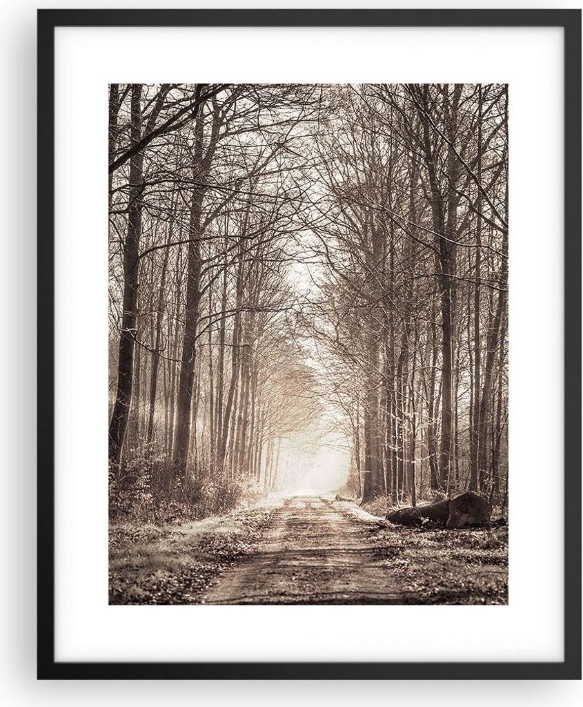 Gerahmtes Poster - Schwarzer Rahmen - Wald Straße Baum - 40x50 cm - Wand Bild - Wanddeko - Wandbilder - Kunstposter - Wandposter - Bilderrahmen - ...