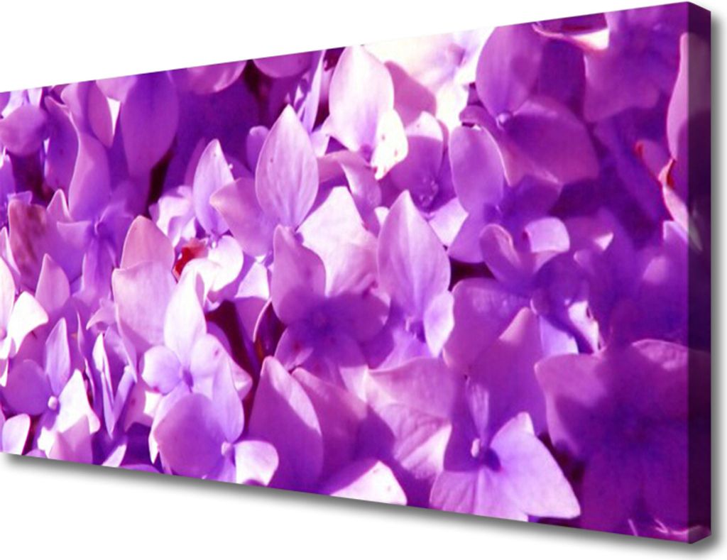 Tulup Leinwand-Bilder 100x50 Wandbild Canvas Kunstdruck Blumen Pflanzen