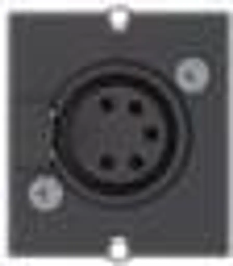 Module Snap-In XLR 5 Pôles Noir Bachmann 917.101 Haute Qualité - 2
