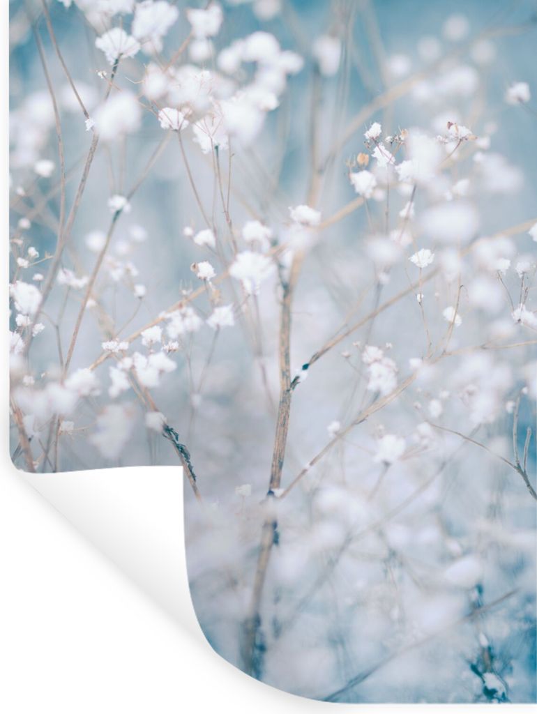 MuchoWow Wandtattoo Wandsticker Wandaufkleber Äste - Schnee - Winter - Natur - Botanisch 90x120 cm Selbstklebend und Repositionierbar - Faltenfrei