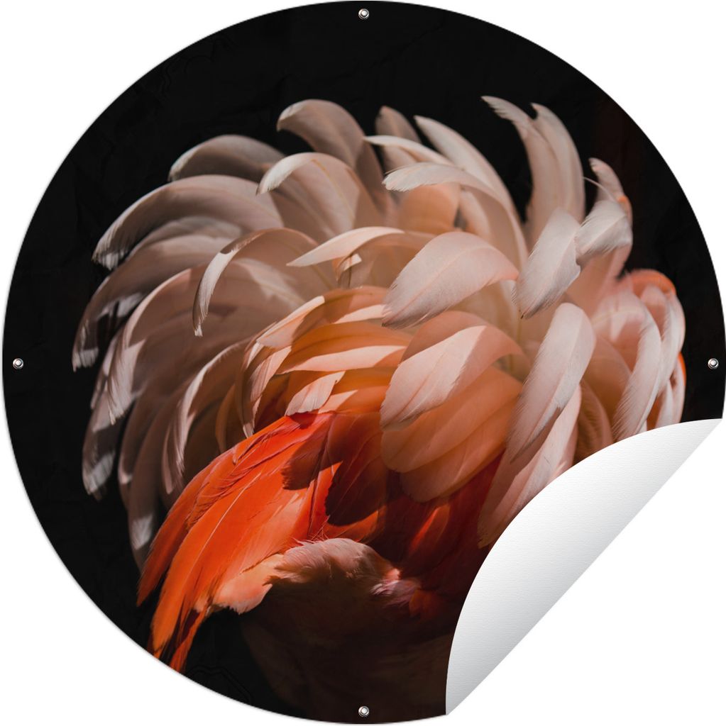MuchoWow Gartenposter Outdoor-Poster Rund Flamingo - Federn - Licht - Makro Ø 120 cm Gartendeko Rundes Poster draußen