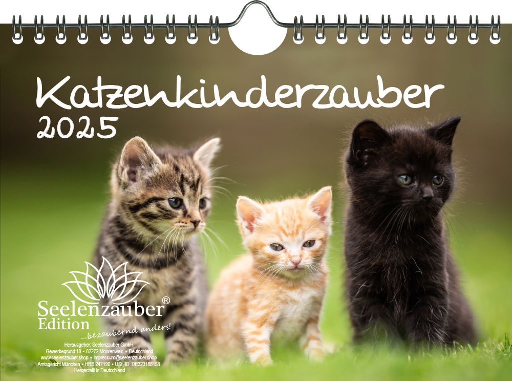 Katzenkinderzauber DIN A5 Wandkalender für 2025 Katzenkinder Katzenbabys - Seelenzauber