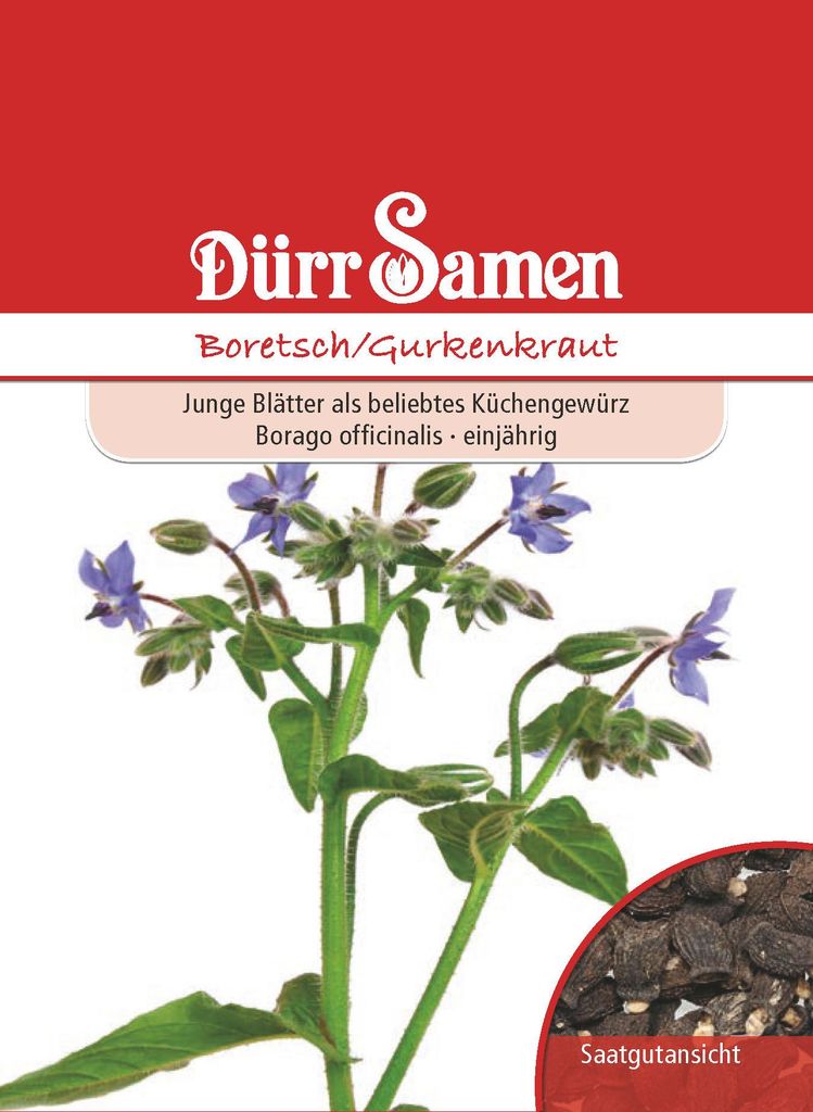 Boretsch | Boretschsamen von Dürr Samen Produktbild 
