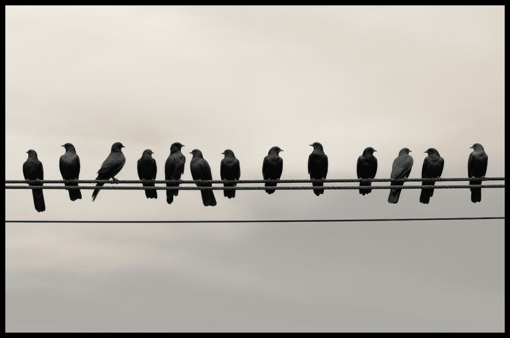 Plakat 91,5x60cm Konferenz in Höhen